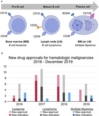 Frontiers | Bispecific Antibodies For Multiple Myeloma: A Review Of ...